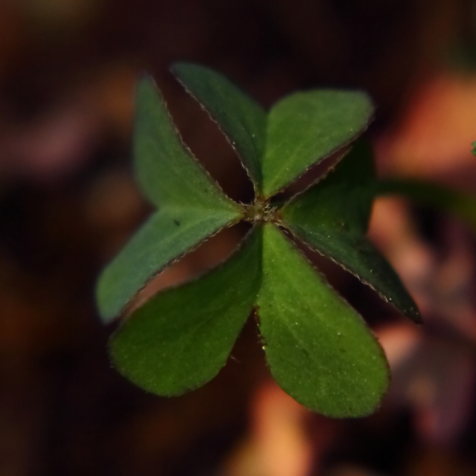 2012 03 17 9999 23e